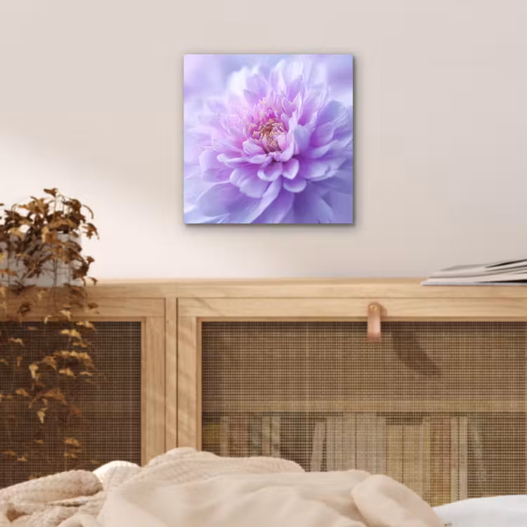 Aluminium schilderij - Paars - Dahlia - Dromerig — 4