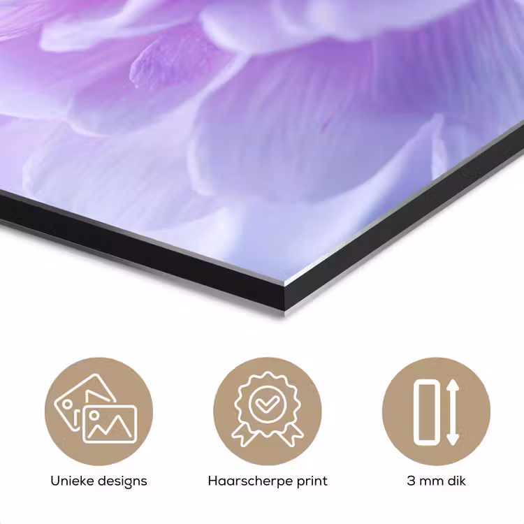 Aluminium schilderij - Paars - Dahlia - Dromerig — 7