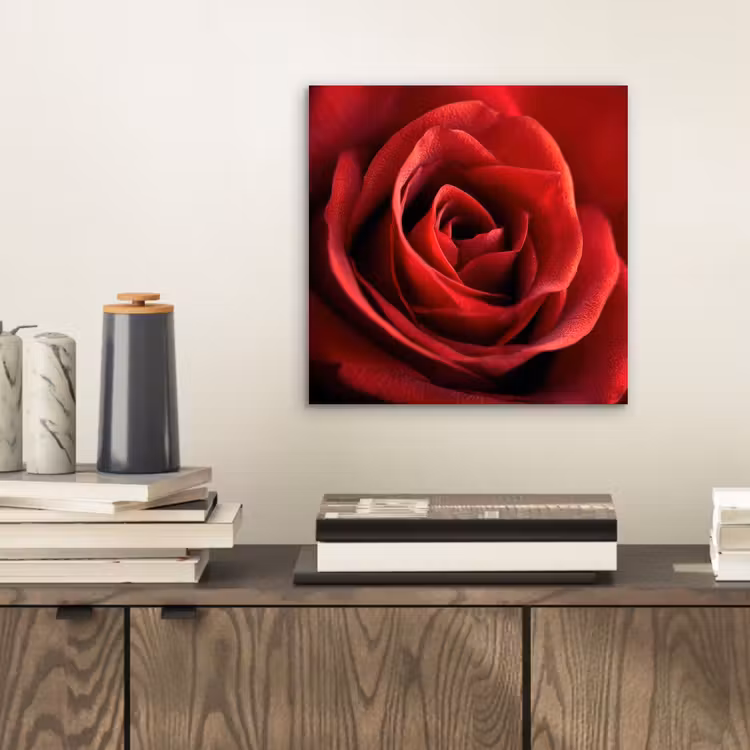 Aluminium schilderij - Rood - Roos - Romantisch — 2