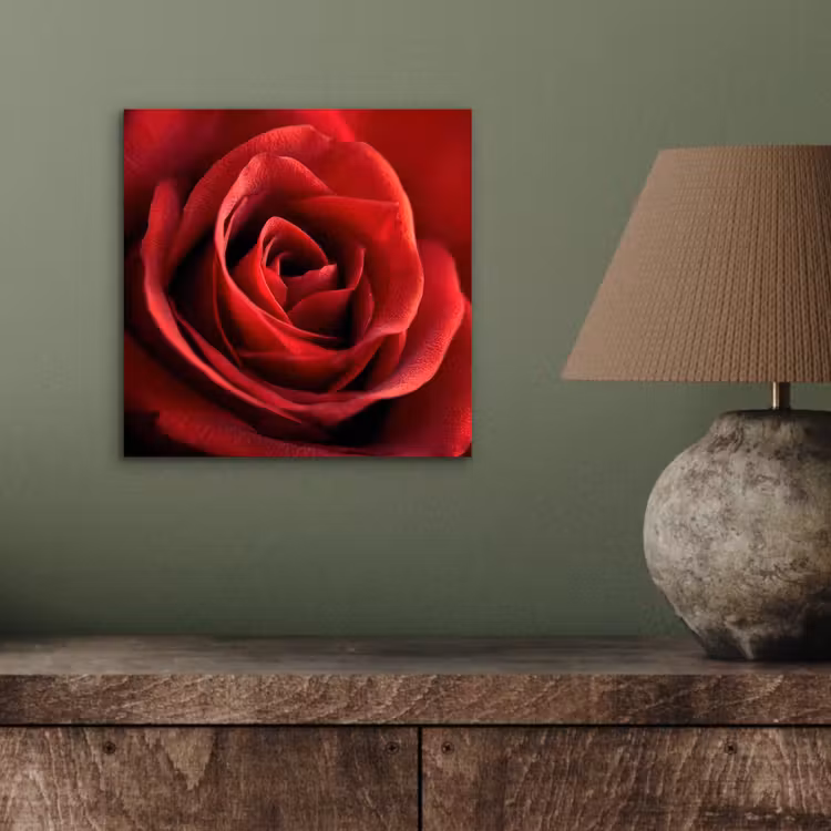 Aluminium schilderij - Rood - Roos - Romantisch — 3