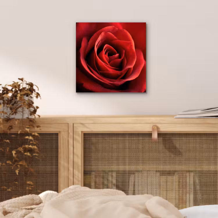 Aluminium schilderij - Rood - Roos - Romantisch — 4