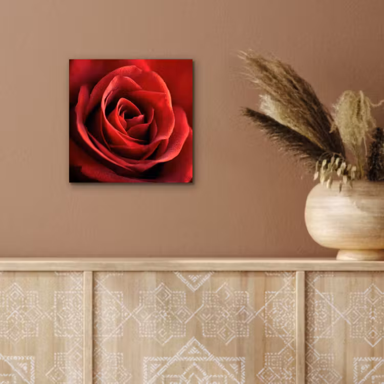 Aluminium schilderij - Rood - Roos - Romantisch — 5
