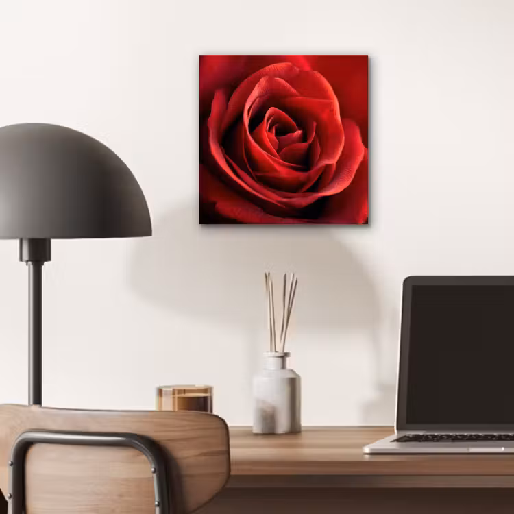 Aluminium schilderij - Rood - Roos - Romantisch — 6