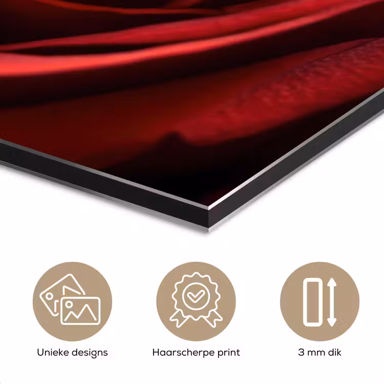 Aluminium schilderij - Rood - Roos - Romantisch — 7