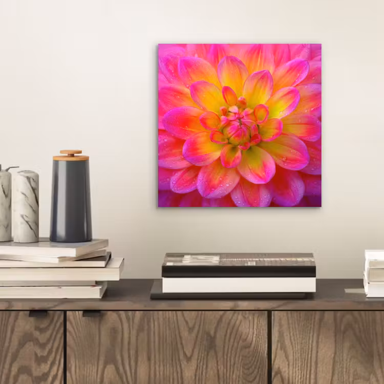 Aluminium schilderij - Roze - Dahlia - Kleurrijk — 2