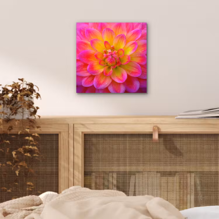Aluminium schilderij - Roze - Dahlia - Kleurrijk — 4