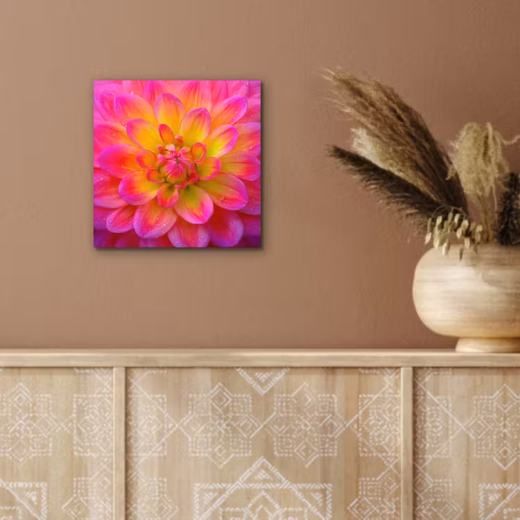 Aluminium schilderij - Roze - Dahlia - Kleurrijk — 5