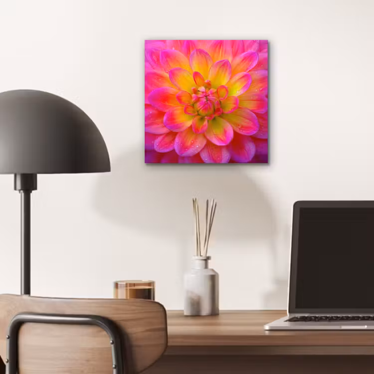 Aluminium schilderij - Roze - Dahlia - Kleurrijk — 6