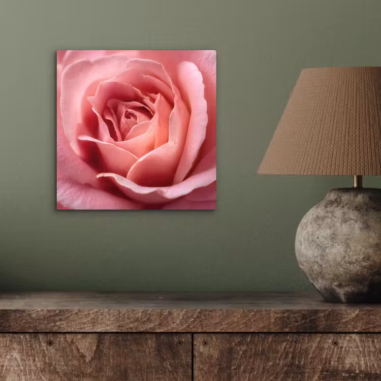 Aluminium schilderij - Roze - Roos - Romantisch — 3