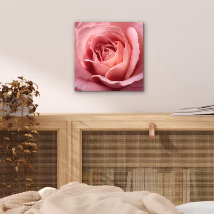 Aluminium schilderij - Roze - Roos - Romantisch — 4