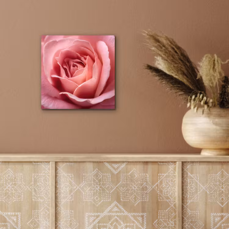 Aluminium schilderij - Roze - Roos - Romantisch — 5