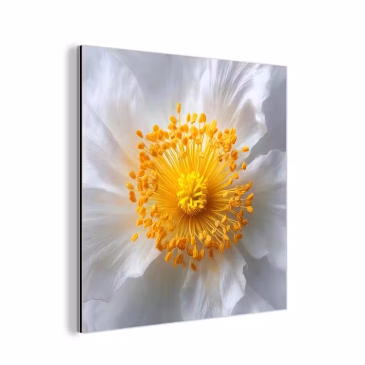 Aluminium schilderij - Wit - Bloem - Elegant — 1
