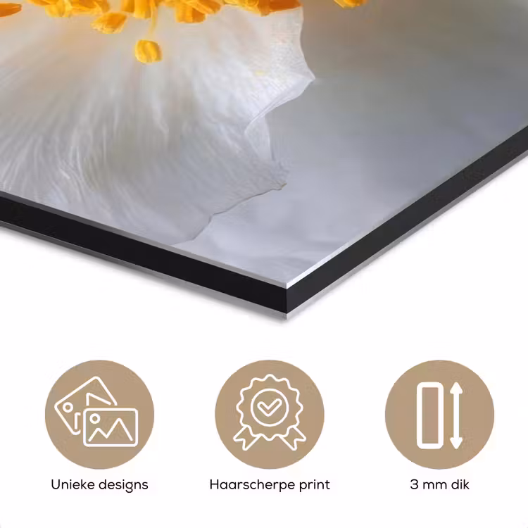 Aluminium schilderij - Wit - Bloem - Elegant — 7
