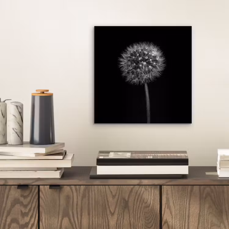 Aluminium schilderij - Paardenbloem - Zwart - Bloemen - Botanisch — 2