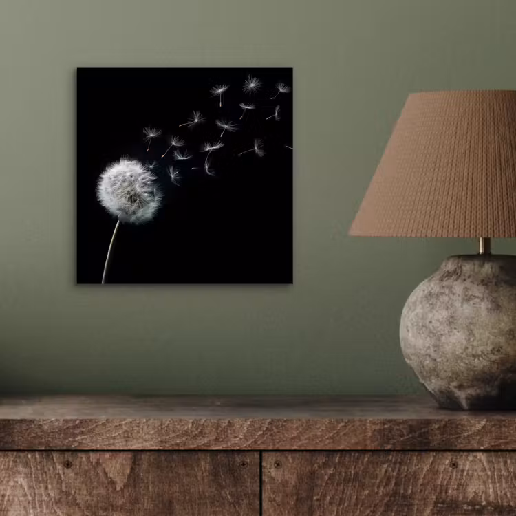 Aluminium schilderij - Paardenbloem - Zwart - Natuur — 3
