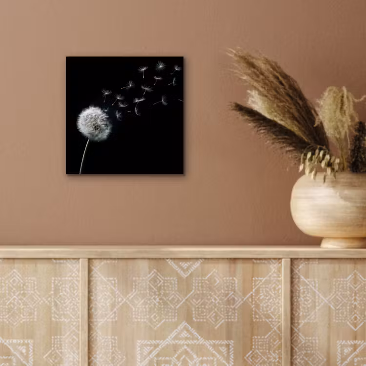 Aluminium schilderij - Paardenbloem - Zwart - Natuur — 5