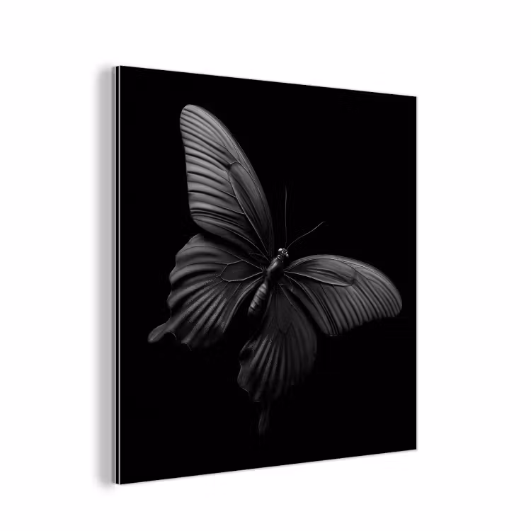 Aluminium schilderij - Vlinder - Zwart - Insect - Dieren — 1