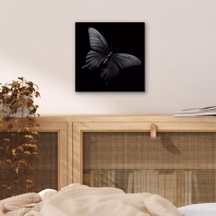 Aluminium schilderij - Vlinder - Zwart - Insect - Dieren — 4