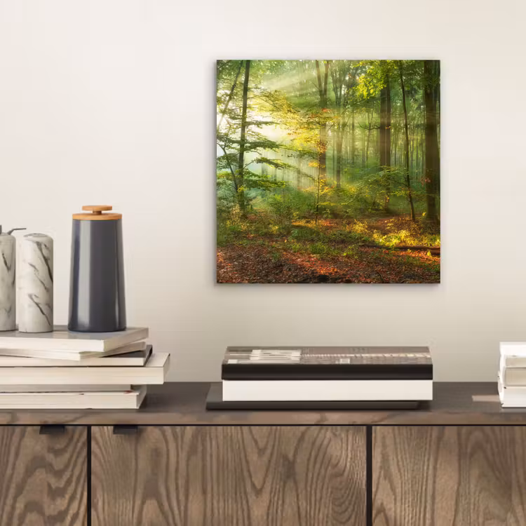 Aluminium schilderij - Zon - Bos - Bomen - Natuur - Herfst — 2