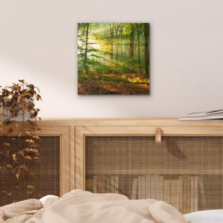 Aluminium schilderij - Zon - Bos - Bomen - Natuur - Herfst — 4