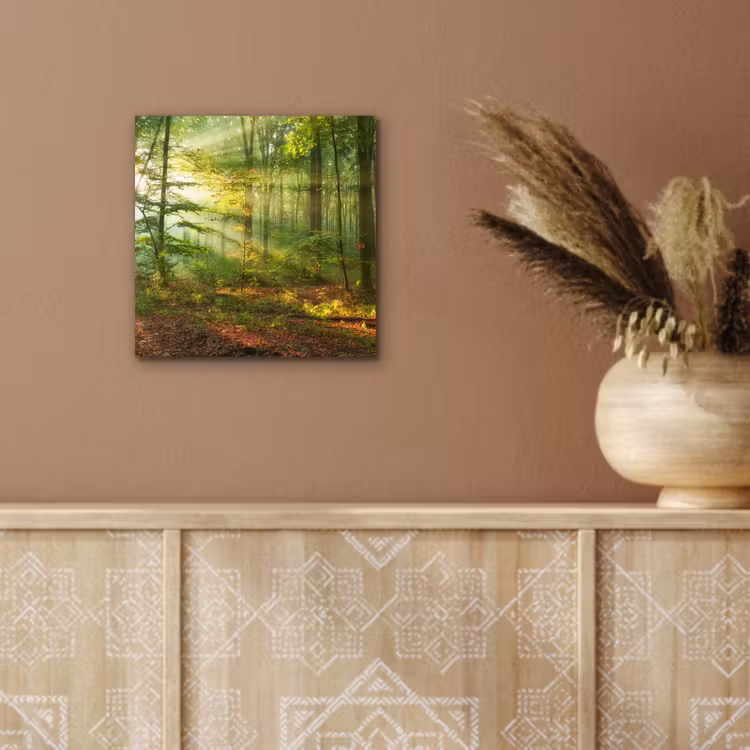 Aluminium schilderij - Zon - Bos - Bomen - Natuur - Herfst — 5