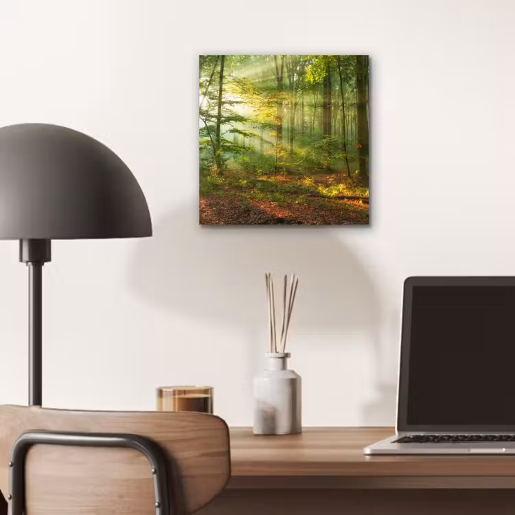Aluminium schilderij - Zon - Bos - Bomen - Natuur - Herfst — 6