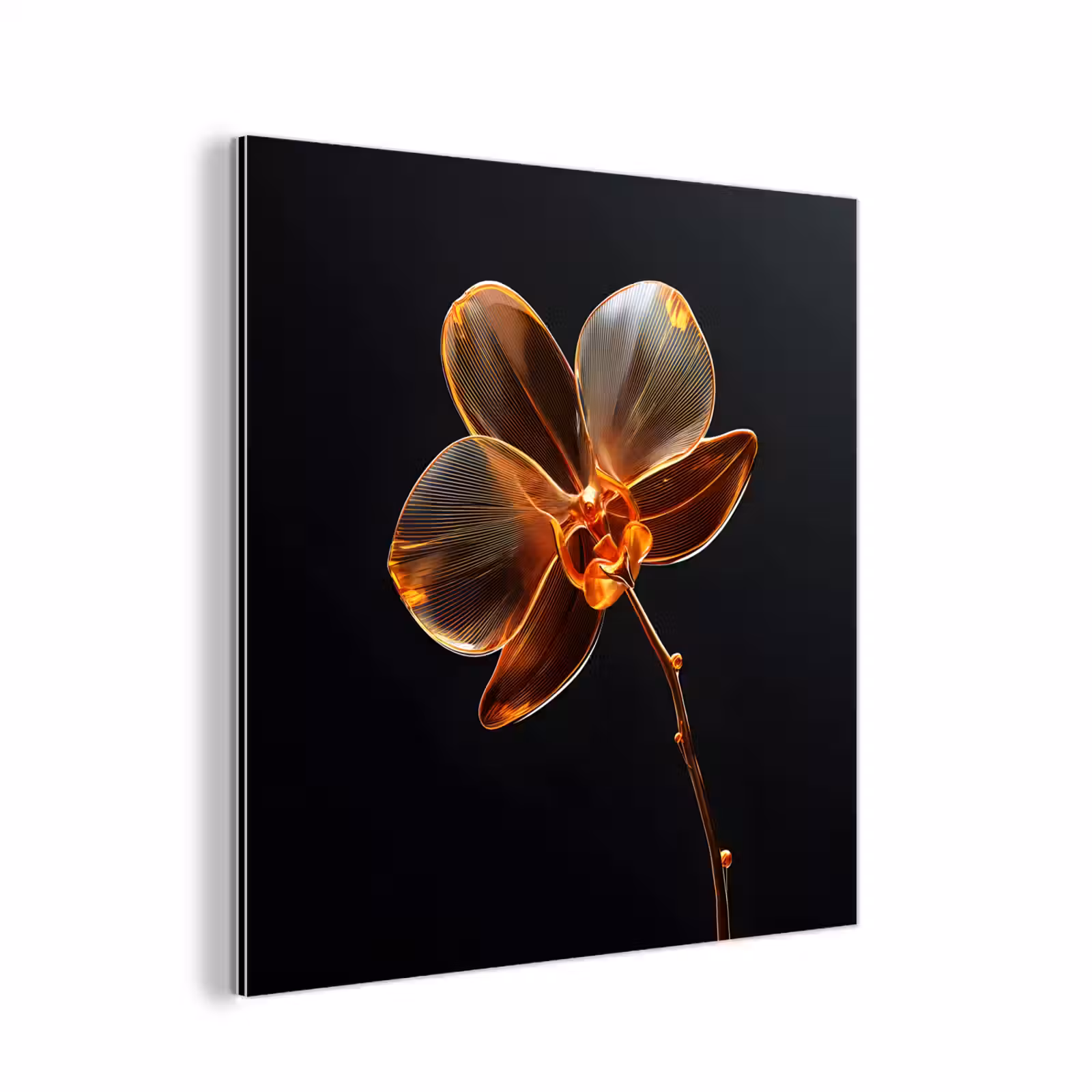 Aluminium schilderij - Orchidee - Doorzichtig - Bloem — 1