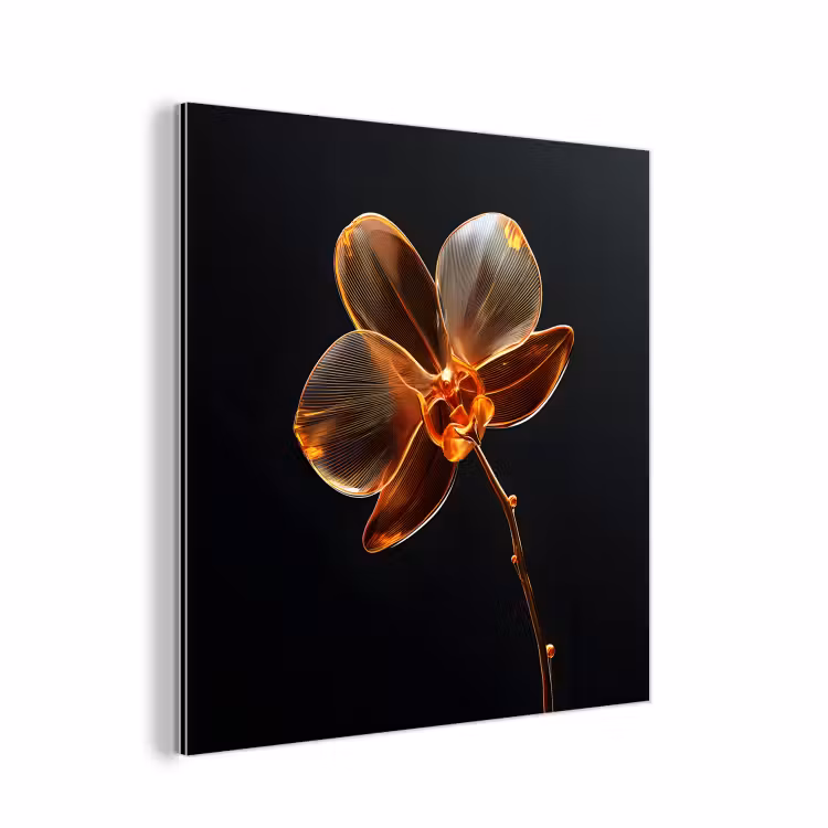 Aluminium schilderij - Orchidee - Doorzichtig - Bloem — 1