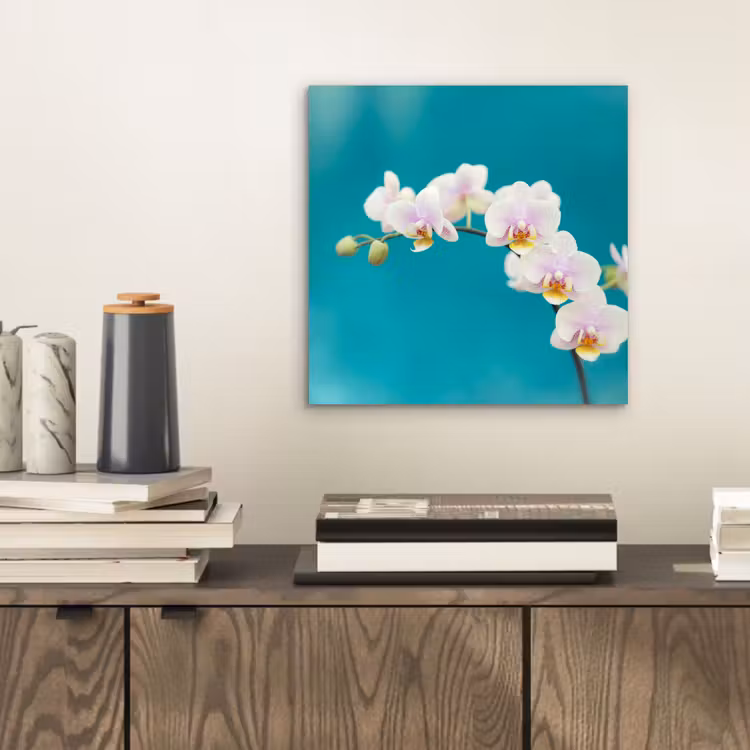 Aluminium schilderij - Orchidee - Bloemen - Plant - Wit - Paars — 2