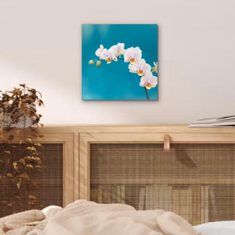 Aluminium schilderij - Orchidee - Bloemen - Plant - Wit - Paars — 4