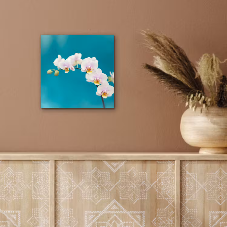 Aluminium schilderij - Orchidee - Bloemen - Plant - Wit - Paars — 5
