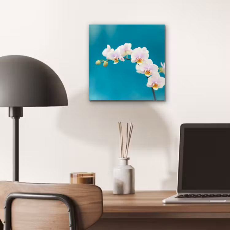 Aluminium schilderij - Orchidee - Bloemen - Plant - Wit - Paars — 6