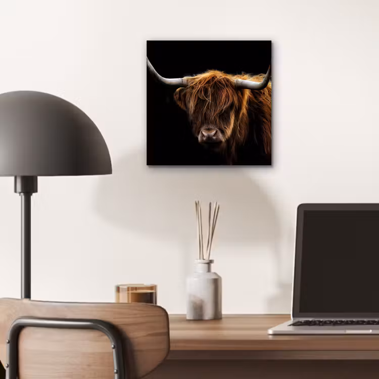 Aluminium schilderij - Schotse Hooglander - Horens - Zwart - Dieren - Natuur - Wild - Koe — 6