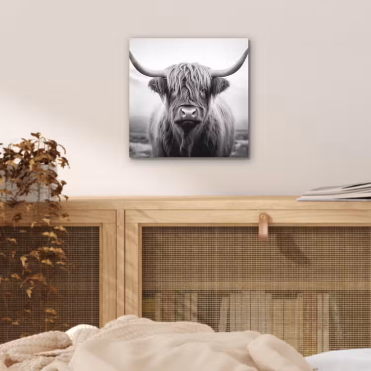 Aluminium schilderij - Schotse hooglander - Mist - Zwart - Wit — 4