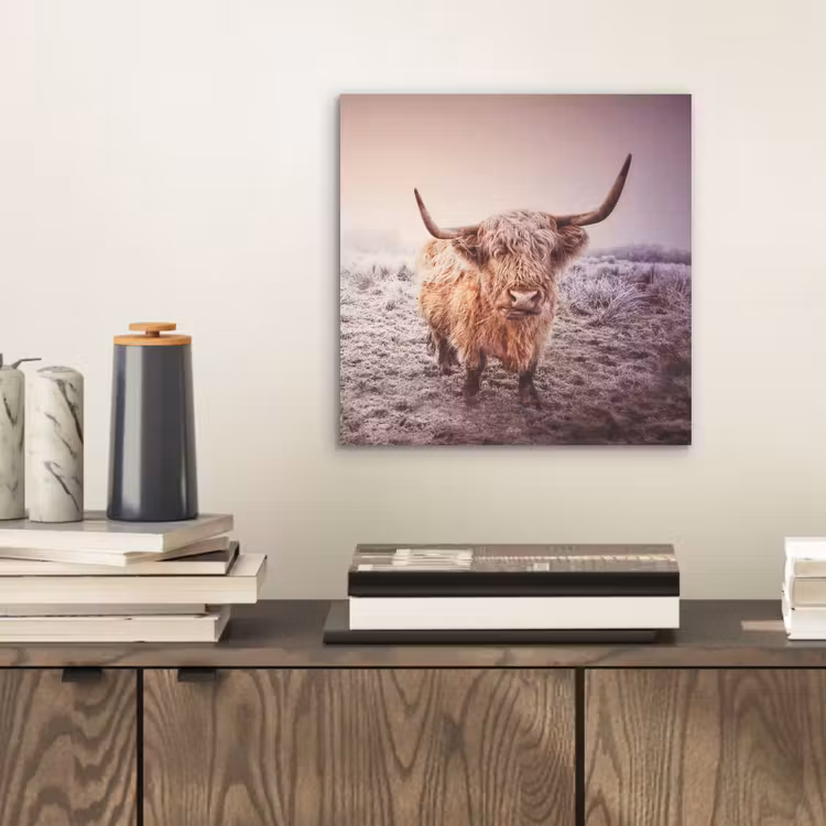 Aluminium schilderij - Schotse hooglanders - Licht - Lucht - Natuur — 2