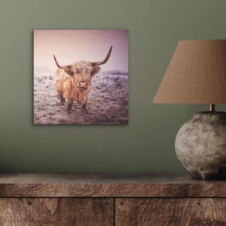 Aluminium schilderij - Schotse hooglanders - Licht - Lucht - Natuur — 3
