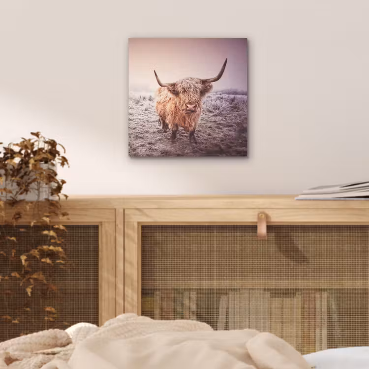 Aluminium schilderij - Schotse hooglanders - Licht - Lucht - Natuur — 4
