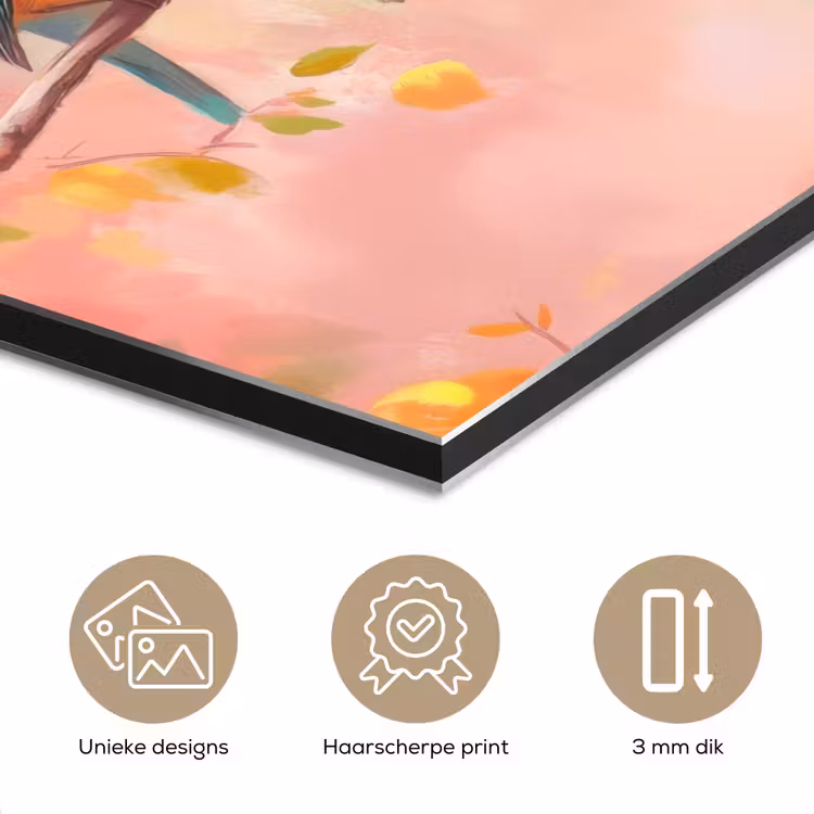 Aluminium schilderij - Vogels - Kleurrijk - Tak — 7