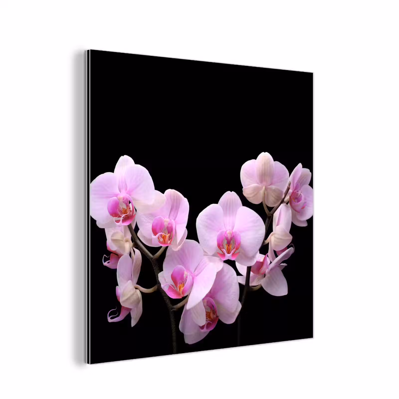 Aluminium schilderij - Orchidee - Bloemen - Roze - Flora — 1