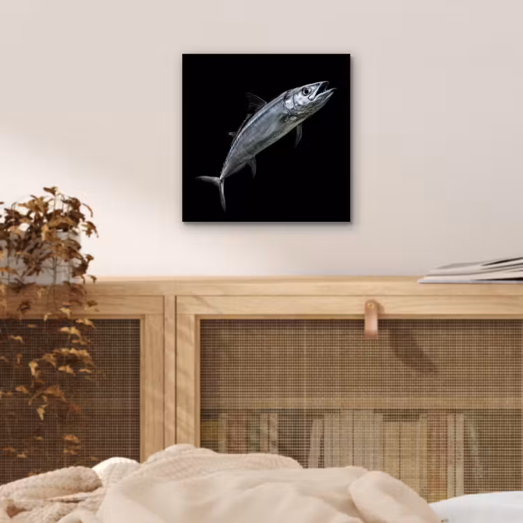 Aluminium schilderij - Makreel - Vis - Zwart — 4