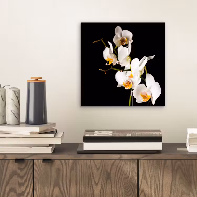 Aluminium schilderij - Orchidee - Bloemen - Planten - Botanisch — 2
