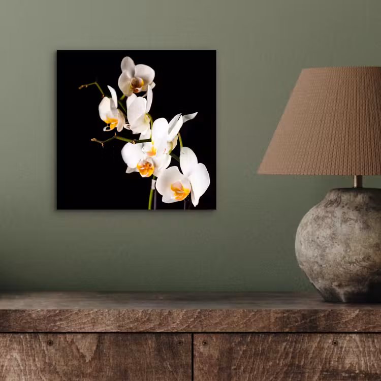 Aluminium schilderij - Orchidee - Bloemen - Planten - Botanisch — 3