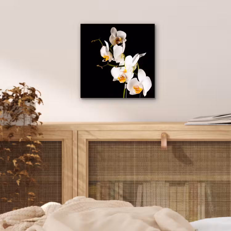 Aluminium schilderij - Orchidee - Bloemen - Planten - Botanisch — 4
