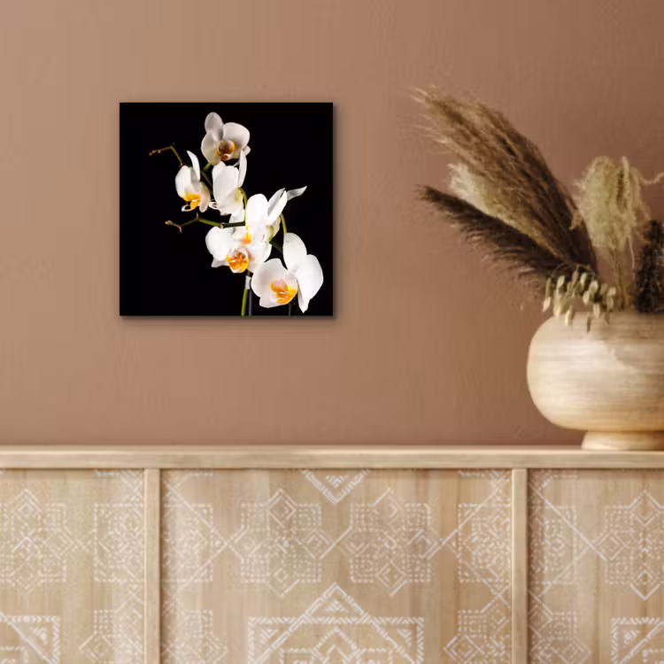 Aluminium schilderij - Orchidee - Bloemen - Planten - Botanisch — 5