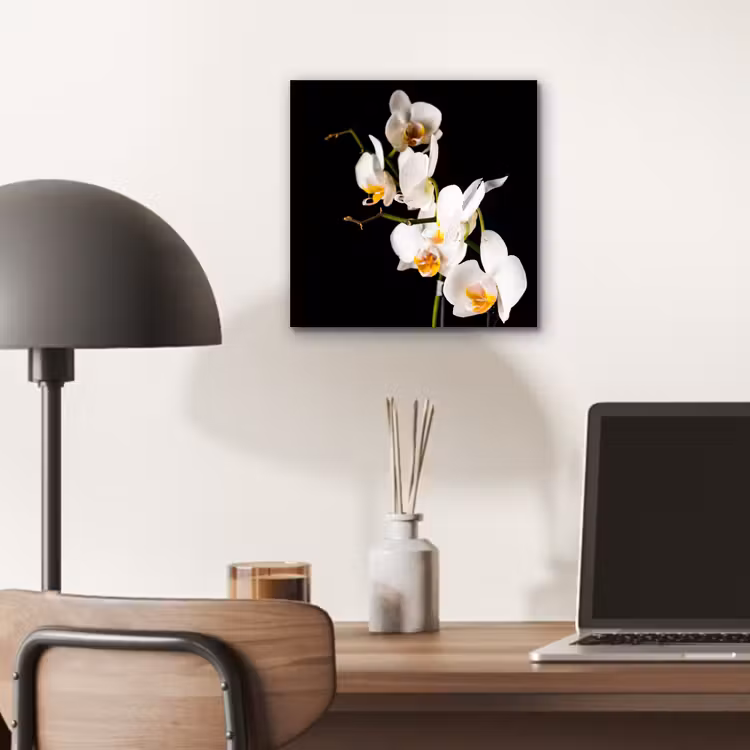 Aluminium schilderij - Orchidee - Bloemen - Planten - Botanisch — 6