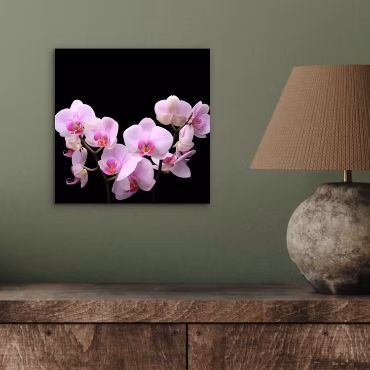Aluminium schilderij - Orchidee - Bloemen - Roze - Flora — 3