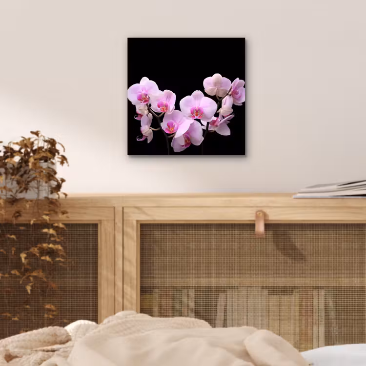 Aluminium schilderij - Orchidee - Bloemen - Roze - Flora — 4