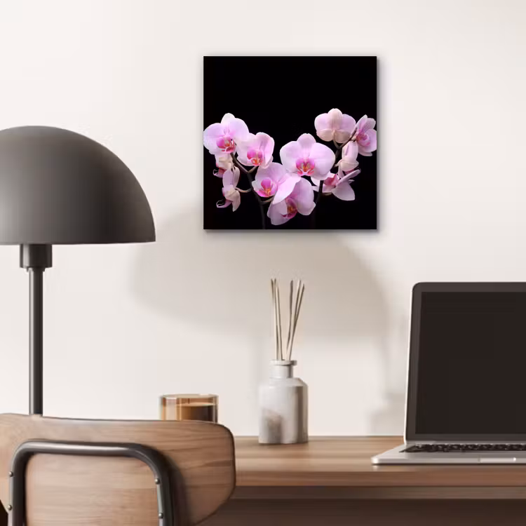 Aluminium schilderij - Orchidee - Bloemen - Roze - Flora — 6