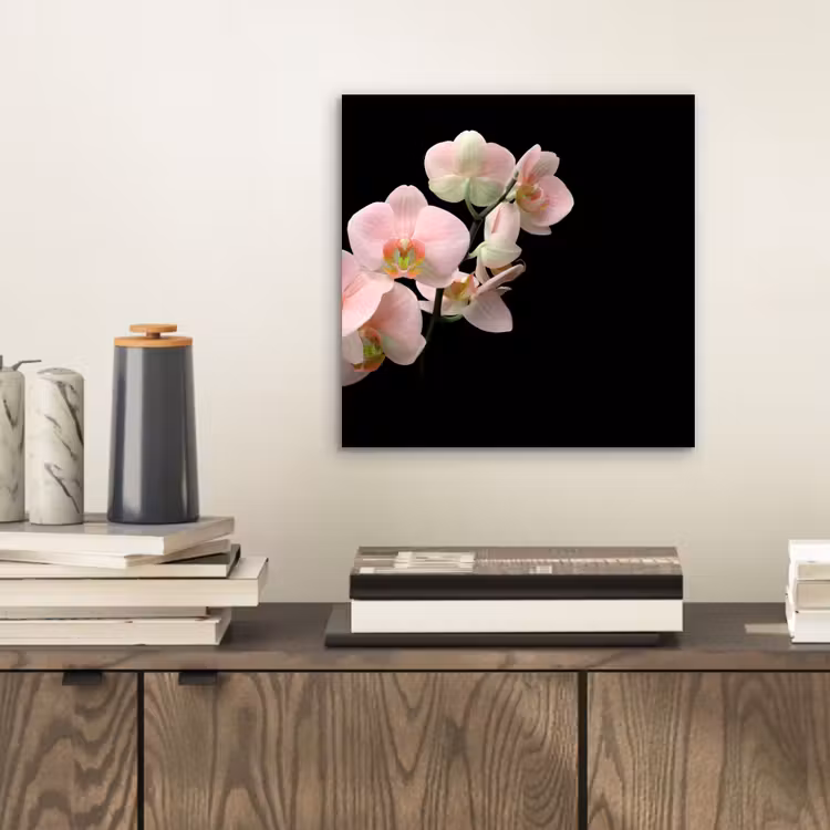 Aluminium schilderij - Orchidee - Bloemen - Roze - Stilleven - Flora — 2
