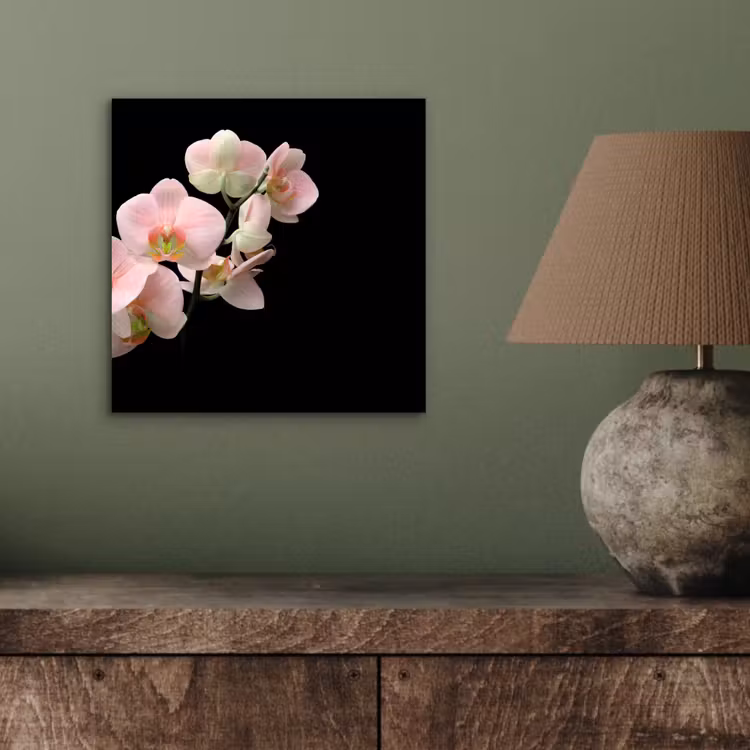 Aluminium schilderij - Orchidee - Bloemen - Roze - Stilleven - Flora — 3